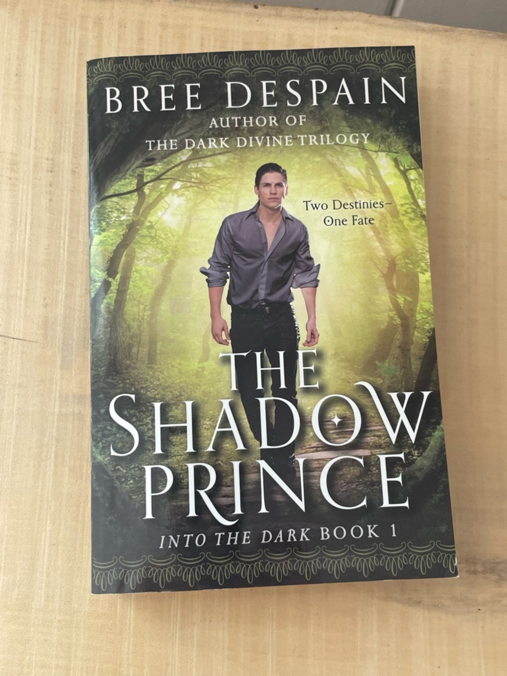 $5 DEALS The Shadow Prince Teen Paperback Fantasy Romantasy Greek Mythology